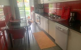Luis Place Machico Lifestyle